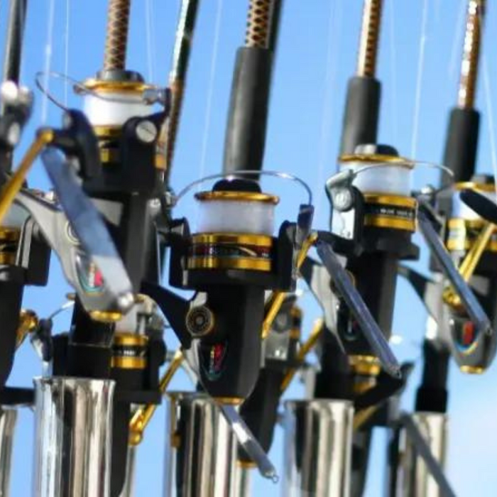 BEGINNER’S GUIDE: Types Of Fishing Reels