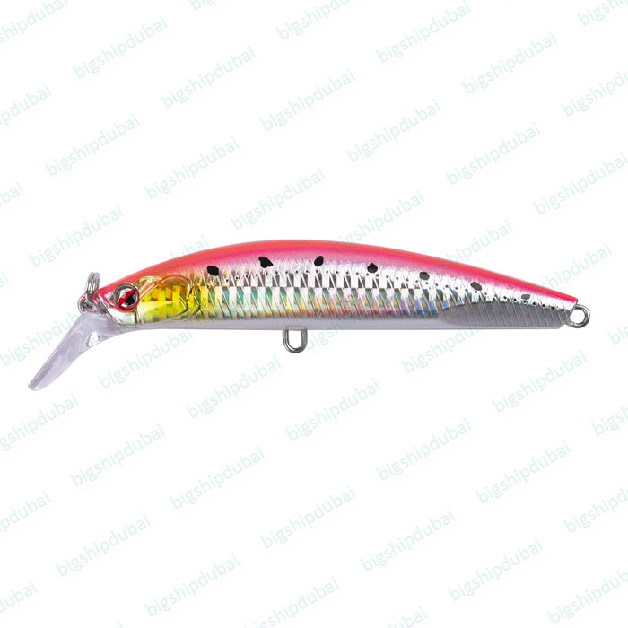LITTMA Spinpro EZ 40 - Big Ship Dubai