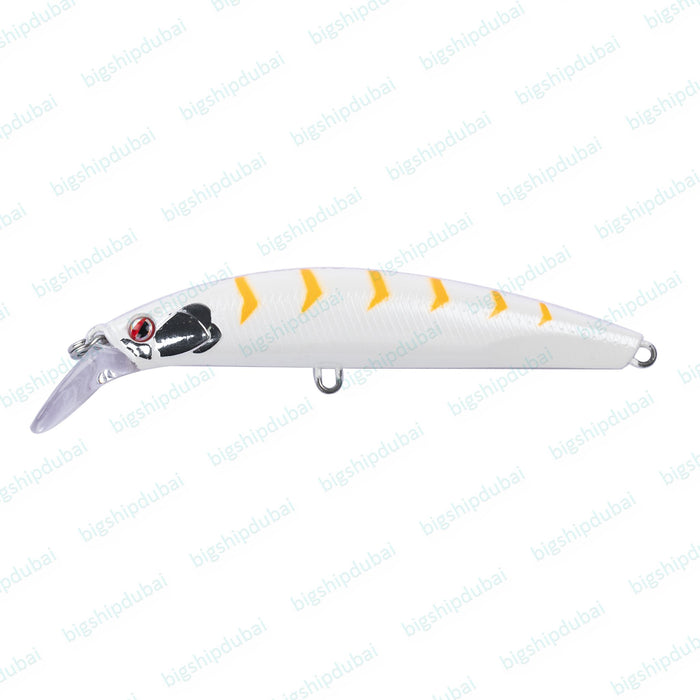 LITTMA Spinpro EZ 40 - Big Ship Dubai