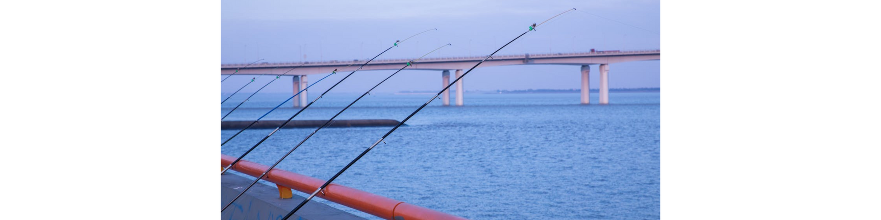 BEGINNER’S GUIDE: Types of Fishing Rods