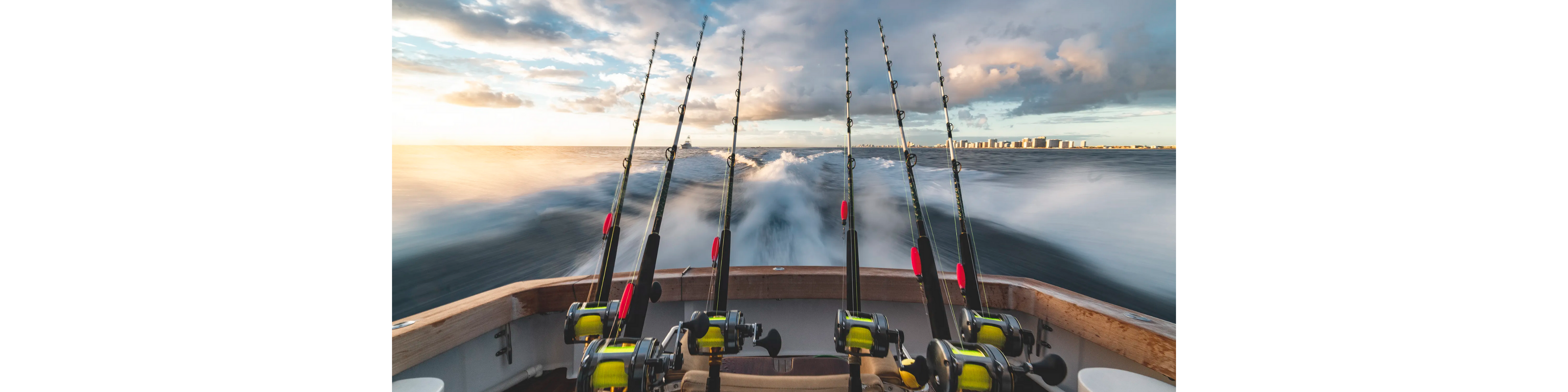 Charter Fishing Rods How To Choose The Perfect Fishing Rod For You — Big Ship Dubai