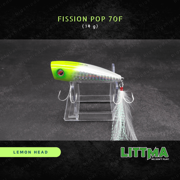 LITTMA Fission Pop 70F (14g)