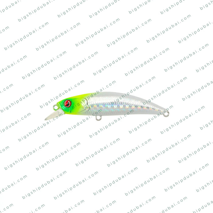 LITTMA Rong 60S (7g)