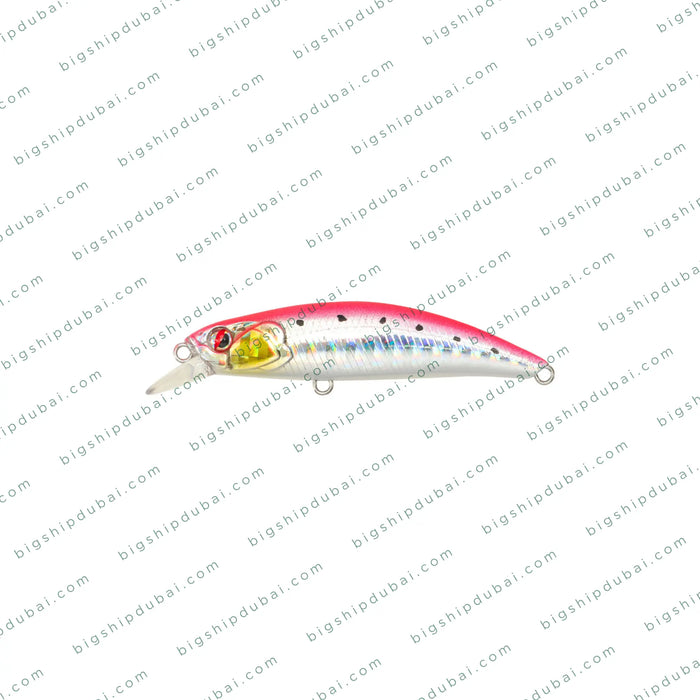 LITTMA Rong 60S (7g)