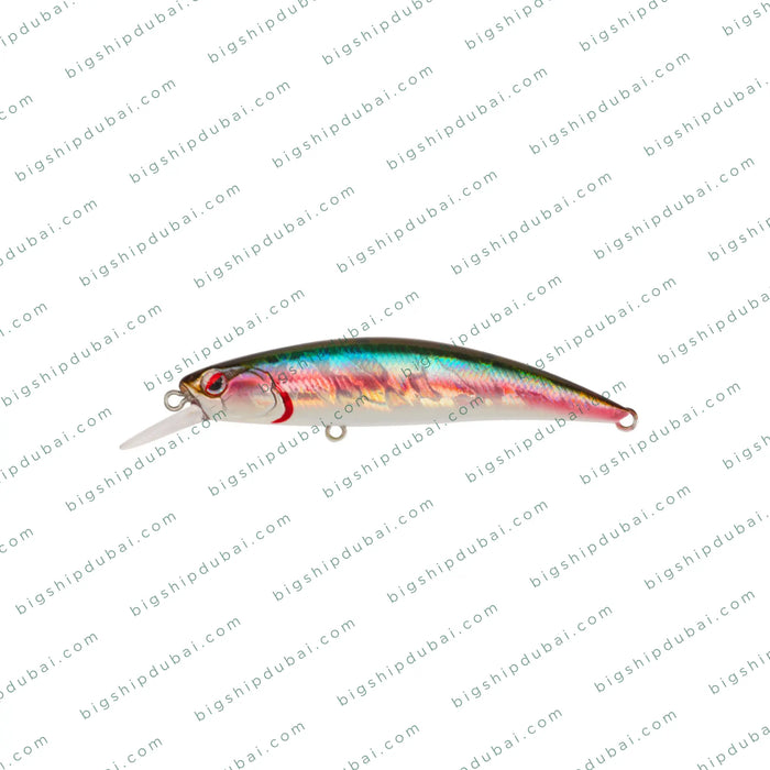 LITTMA Rong 70S (9g)