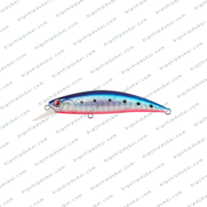 LITTMA Rong 70S (9g)