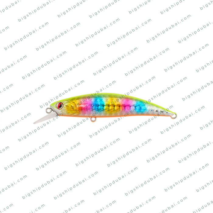 LITTMA Rong 70S (9g)