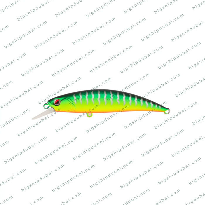LITTMA Rong 70S (9g)