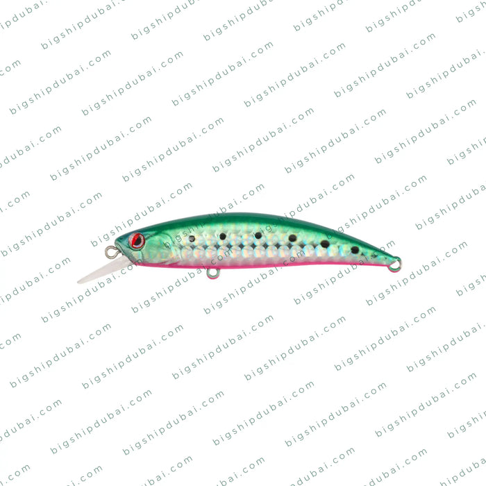 LITTMA Rong 70S (9g)