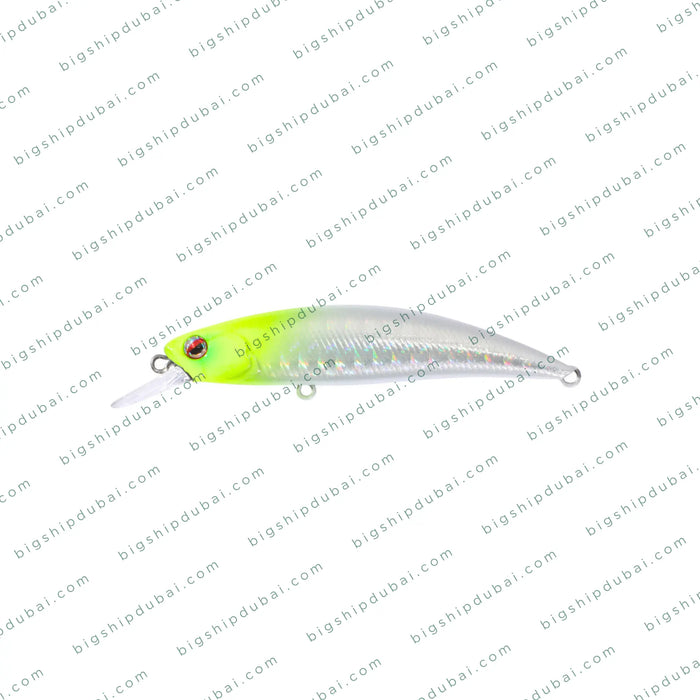 LITTMA Rong 70S (9g)