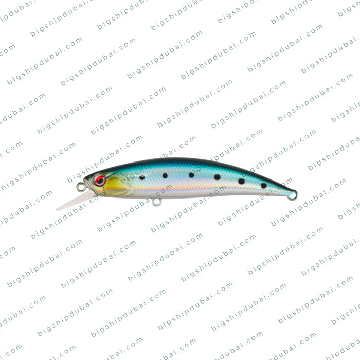 LITTMA Rong 70S (9g)