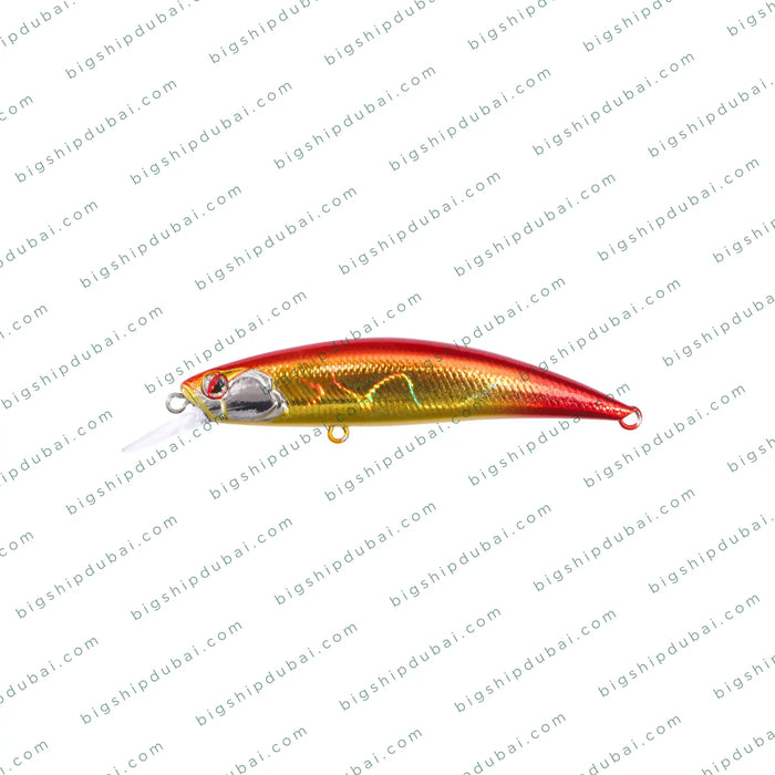 LITTMA Rong 70S (9g)