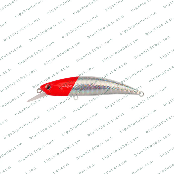 LITTMA Rong 70S (9g)