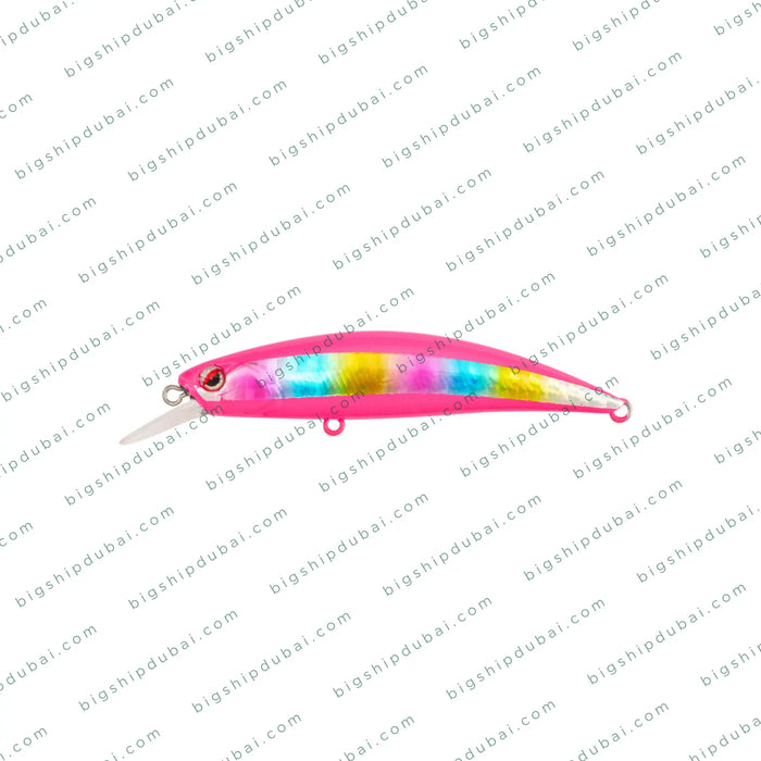 LITTMA Rong 70S (9g)
