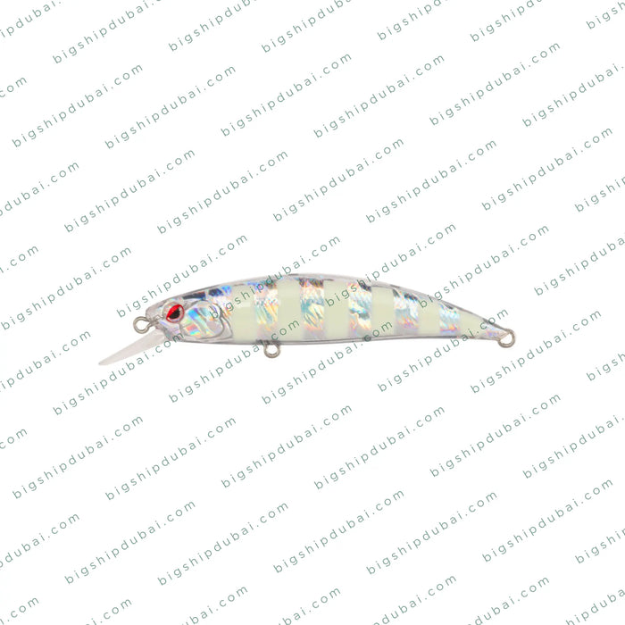 LITTMA Rong 70S (9g)