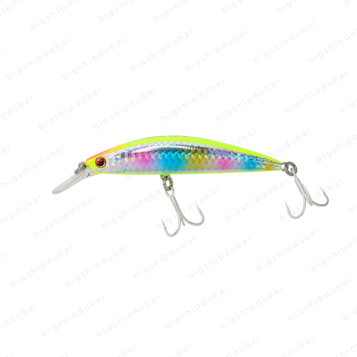 LITTMA Sagoshi 70FS (16g) - Chart Chart Rainbow