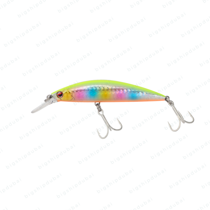 LITTMA Sagoshi 70FS (16g) - Chart Orange Rainbow