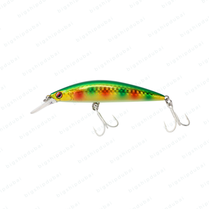 LITTMA Sagoshi 70FS (16g) - Green Gold Rainbow