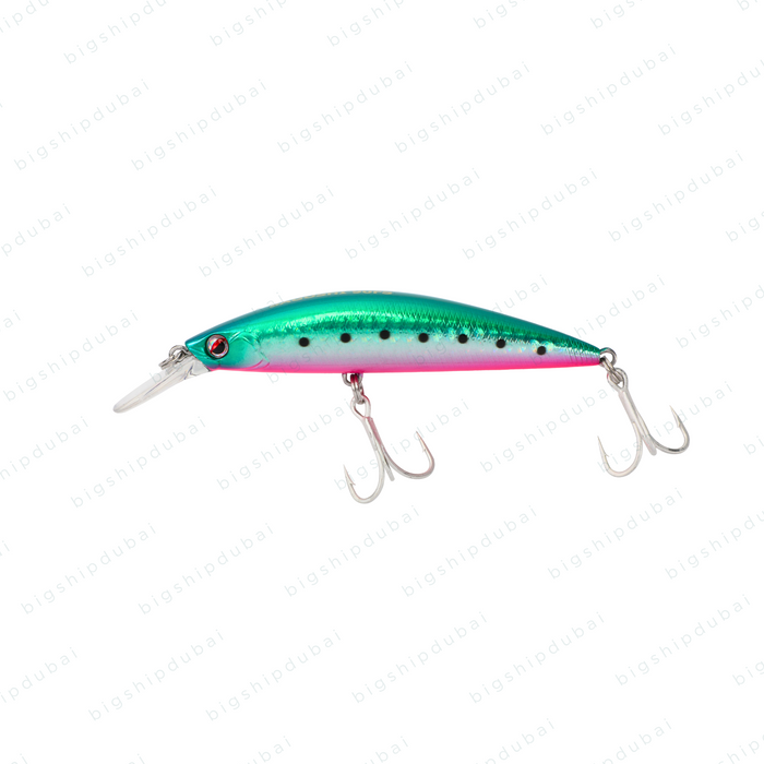 LITTMA Sagoshi 70FS (16g) - Green Pink Iwashi