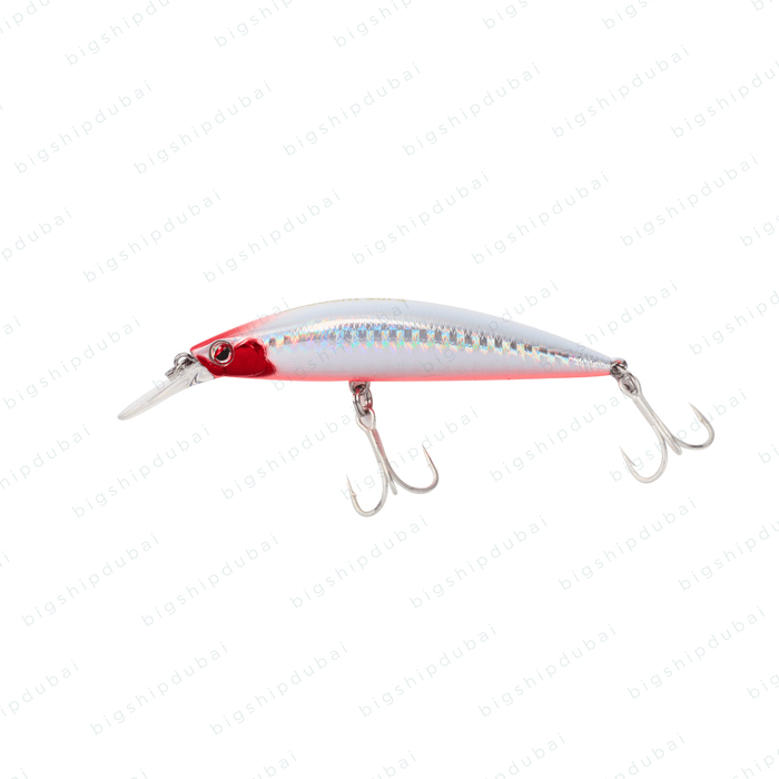 LITTMA Sagoshi 70FS (16g) - RP Red Belly