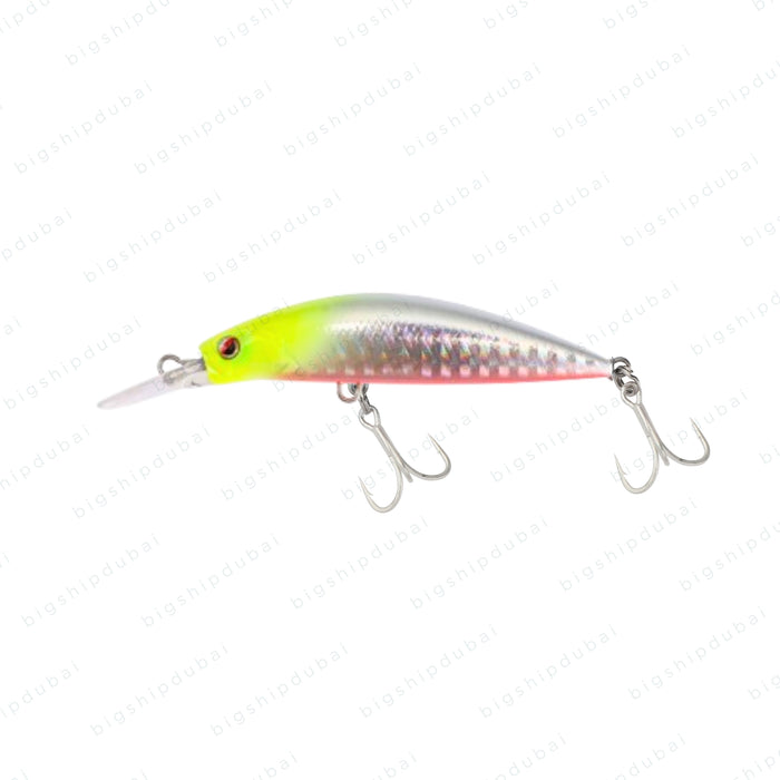 LITTMA Sagoshi 70FS (16g)